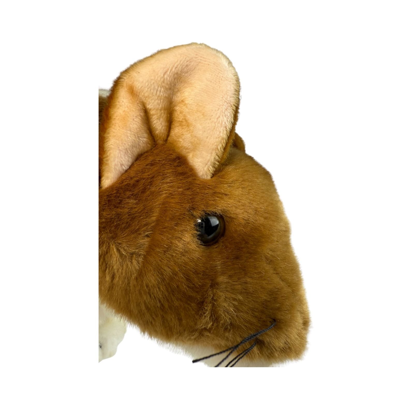 Plush Eastern quoll head with large ears on a white background