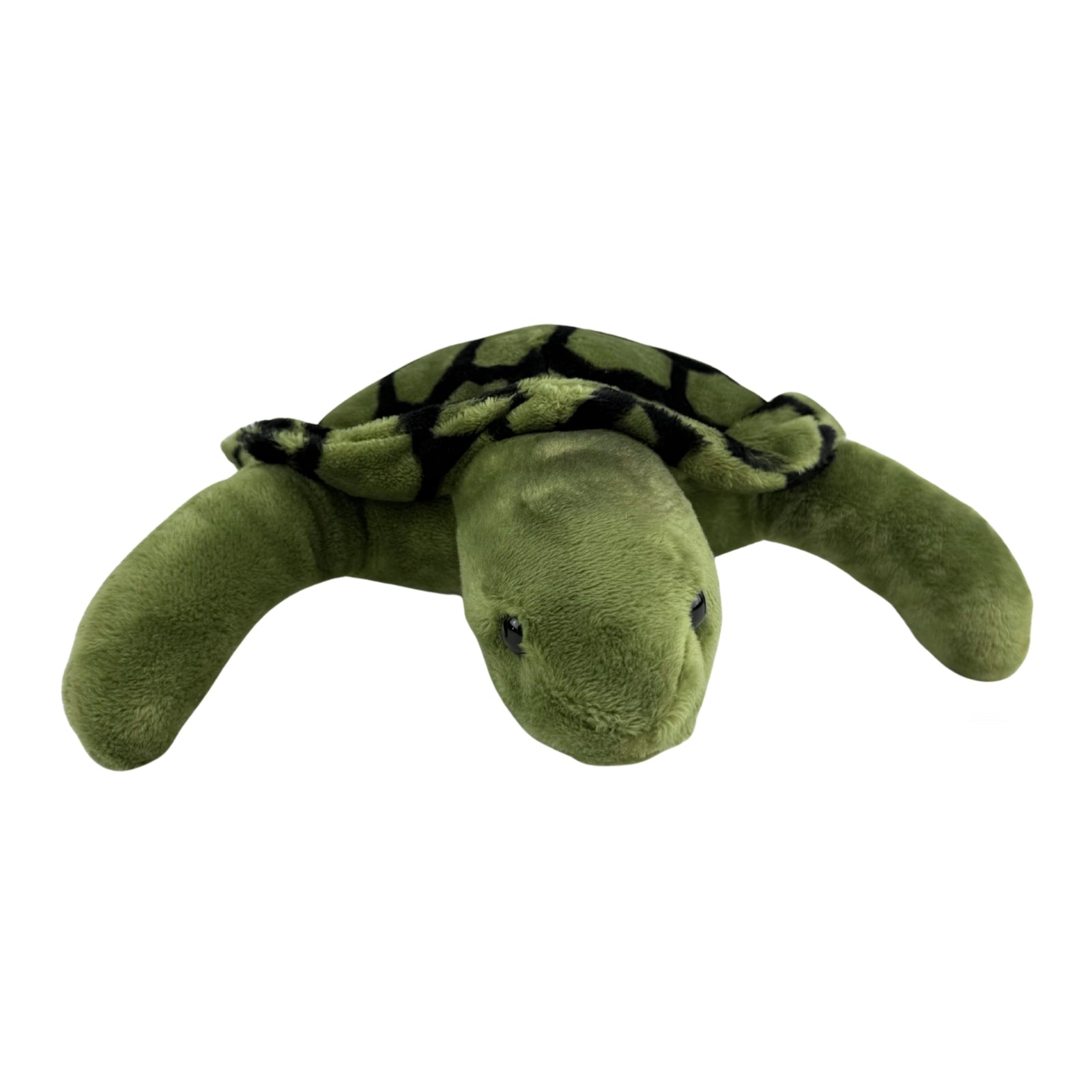 Front view of green turtle plush toy