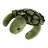 Close-up front view of green turtle plush toy