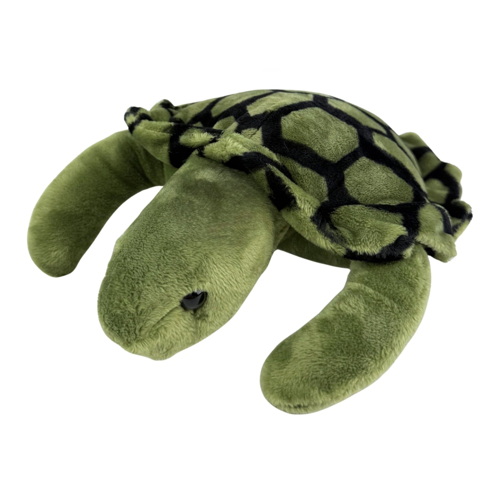 Close-up front view of green turtle plush toy