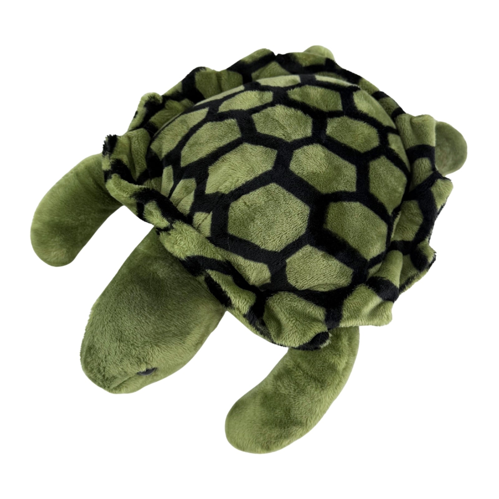 Back view of green turtle plush toy