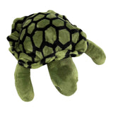 Top view of green turtle plush toy
