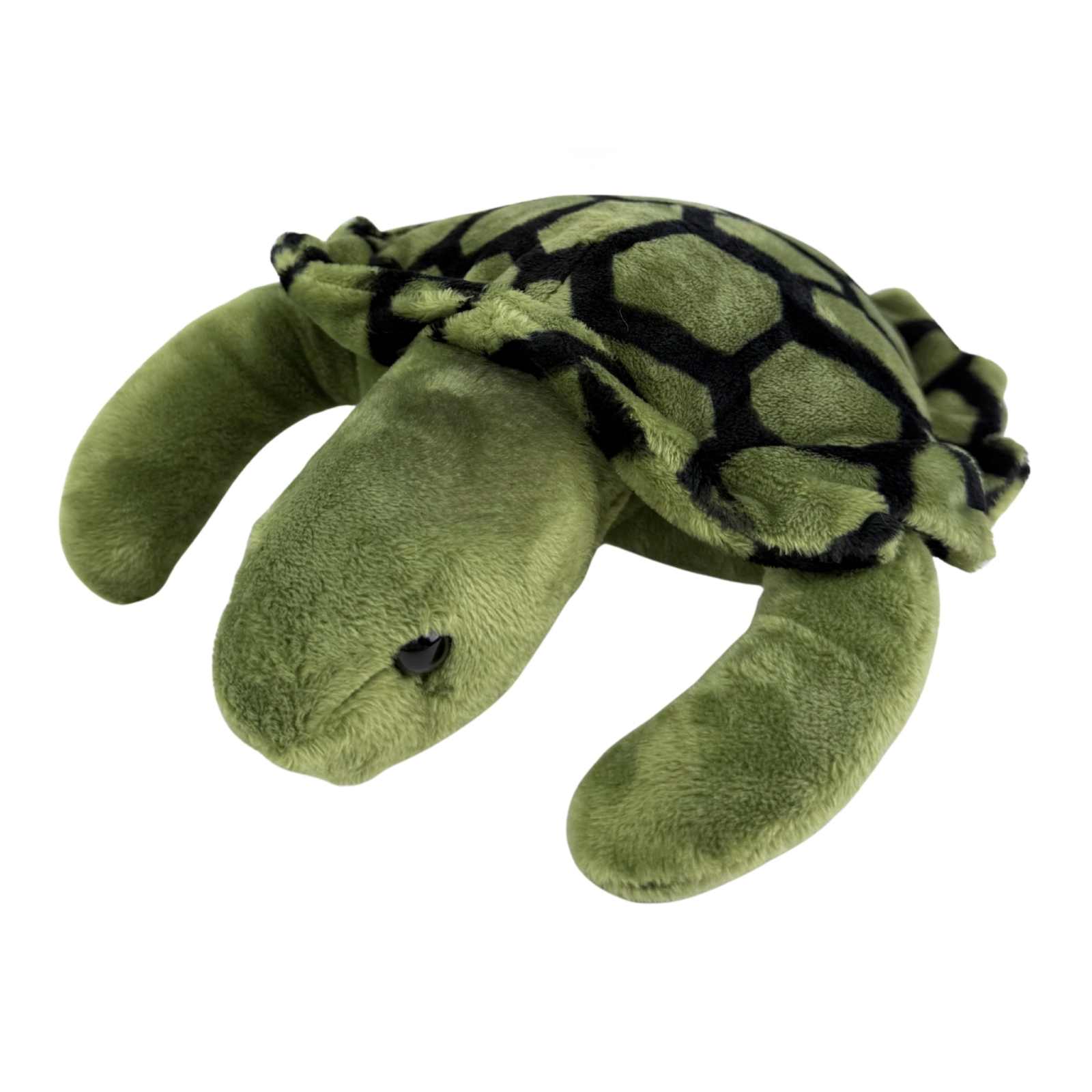 Close-up front view of green turtle plush toy