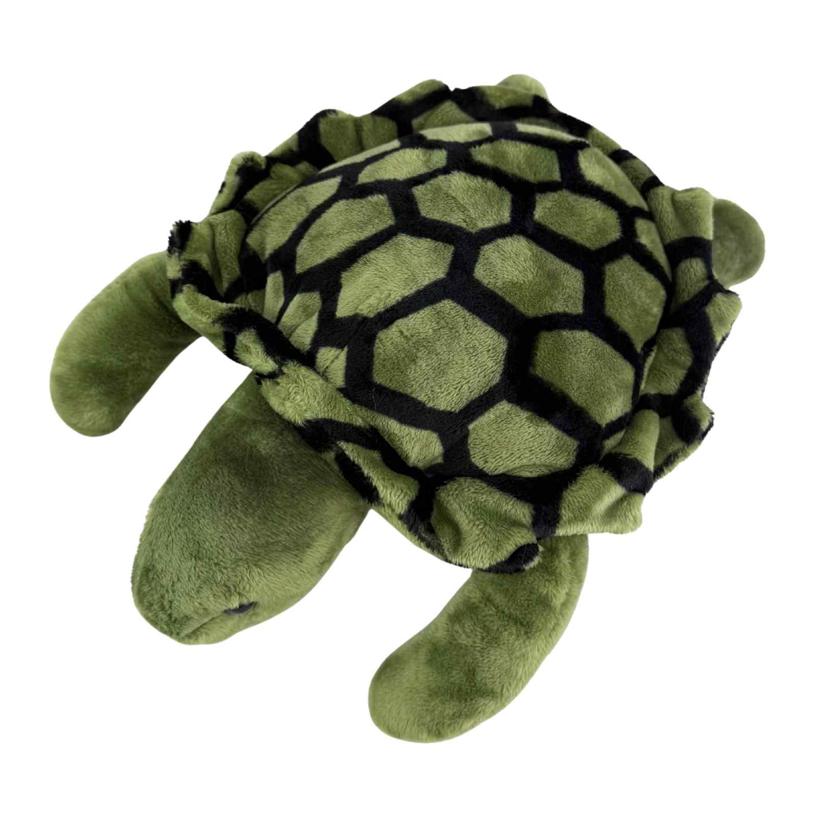 Back view of green turtle plush toy