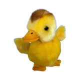 Close-up front view of duckling plush toy
