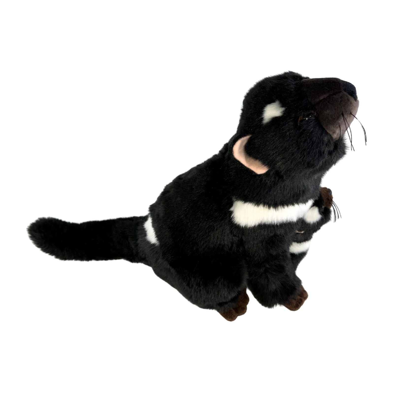 Plush toy otter on a white background