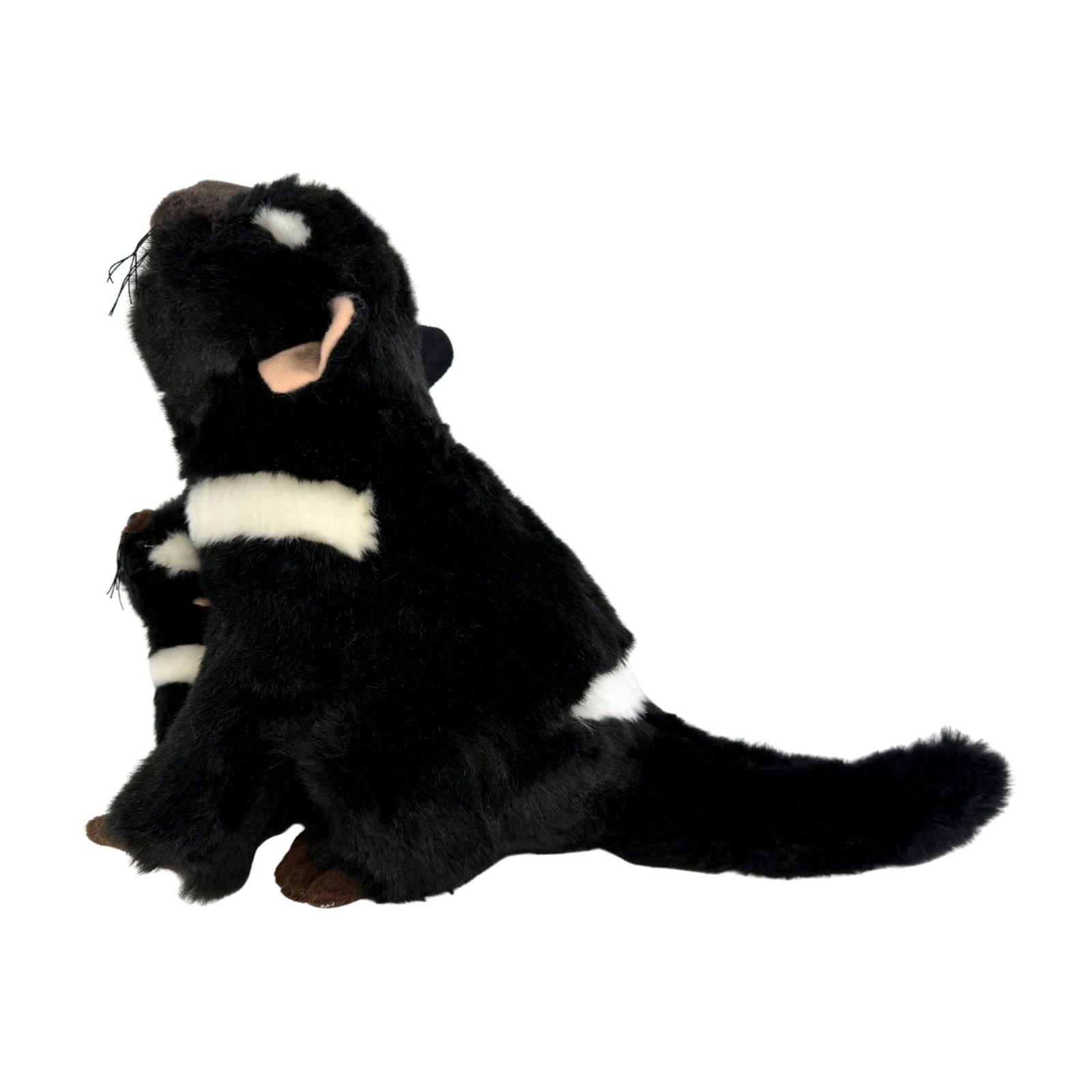 Plush toy otter on a white background