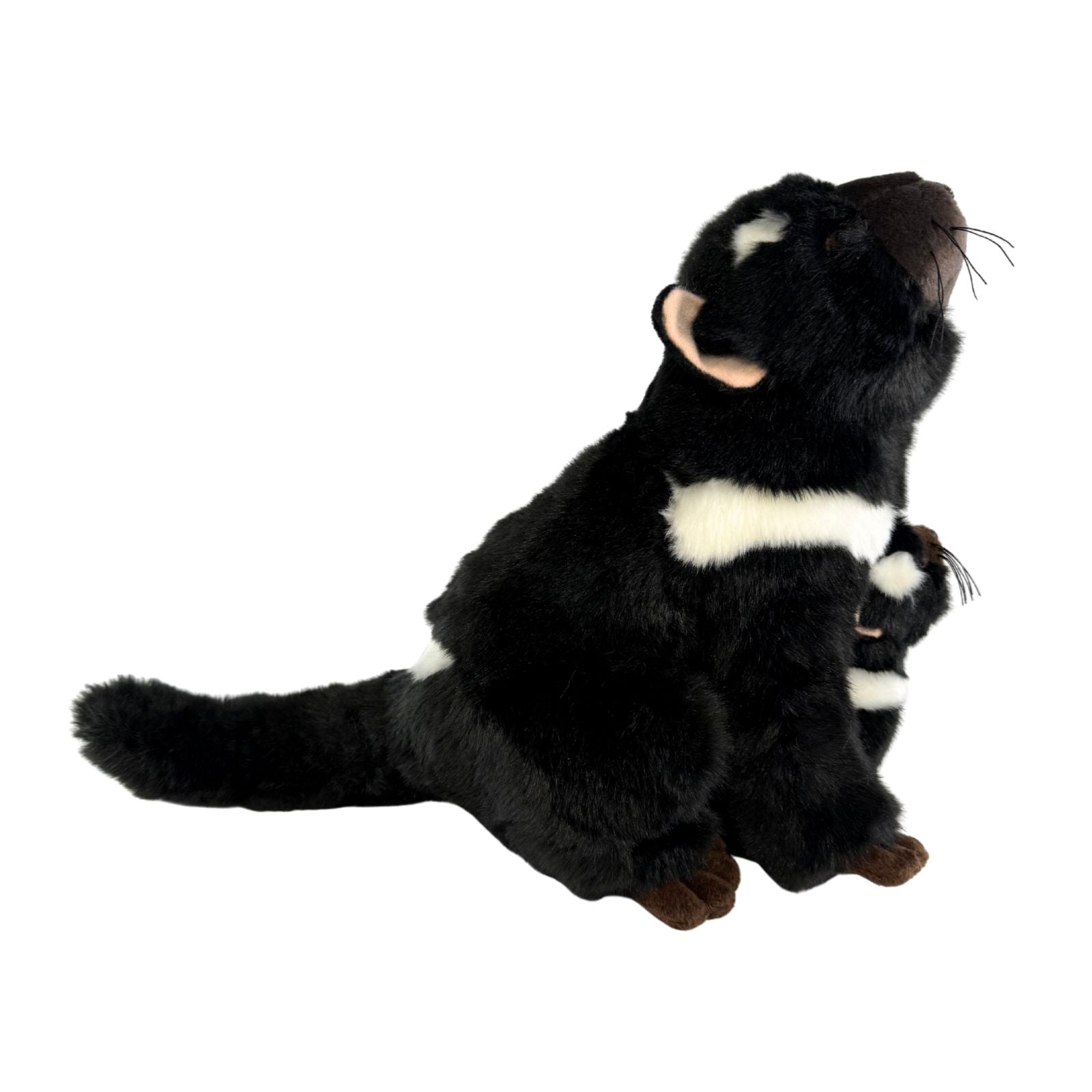 Plush toy skunk on a white background