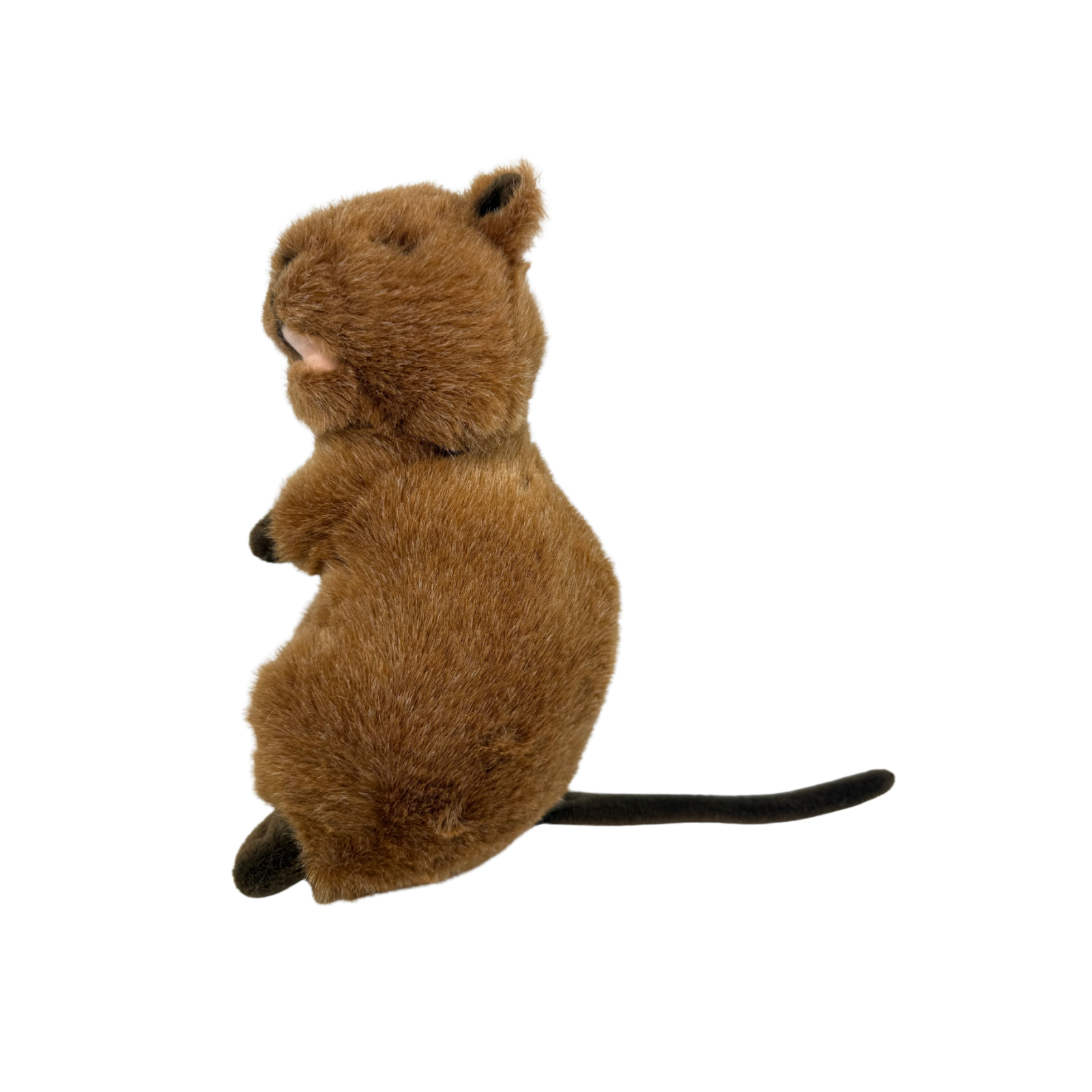 medium Quokka plush toy
