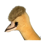 Close-up of a emu head with a prominent crest on a white background