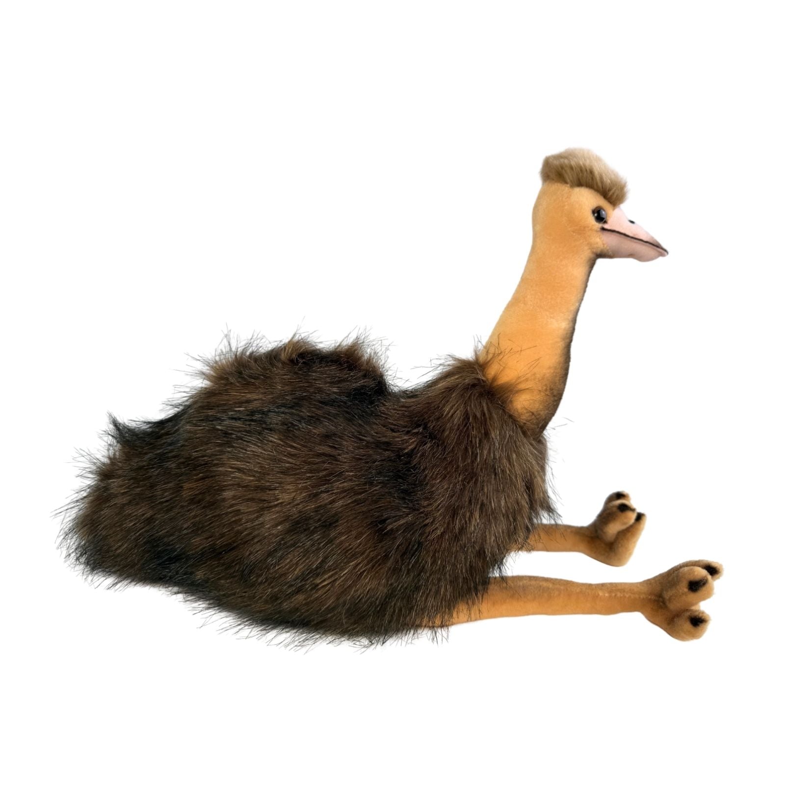 Plush toy emu on a white background