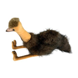 Plush toy emu on a white background
