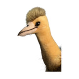 Close-up of a plush toy resembling an animal with a white background