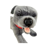 Close-up front view of grey Staffy dog plush toy