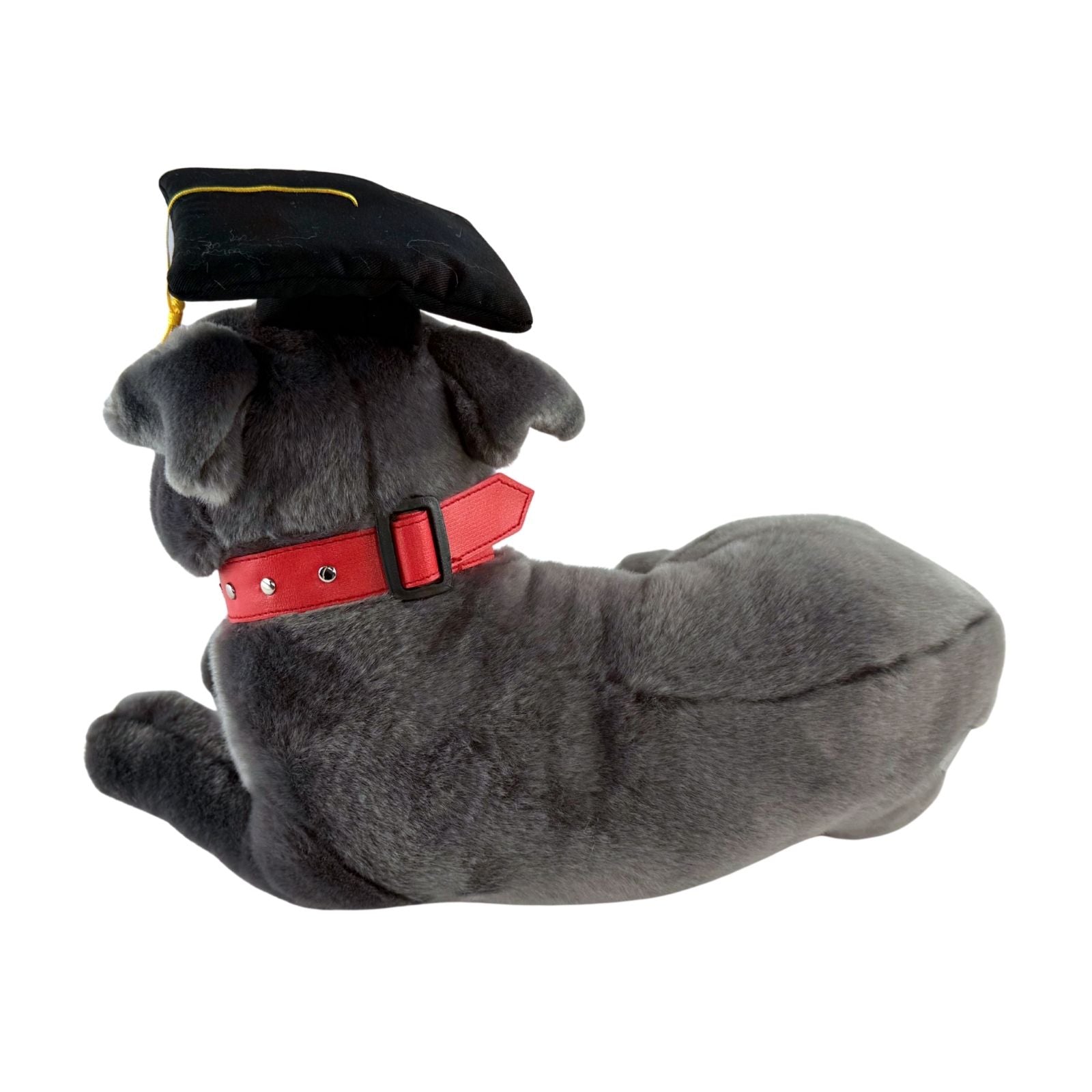 Back view of lying Staffy plush toy in graduation hat