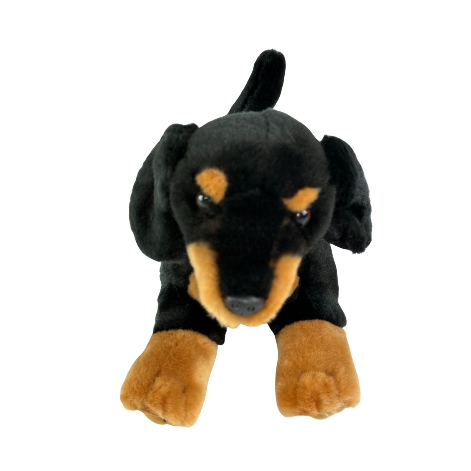 Front view of lying Dachshund plush toy