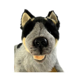 Close up of lying blue heeler plush dog toy