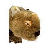 Plush toy of a beaver on a white background