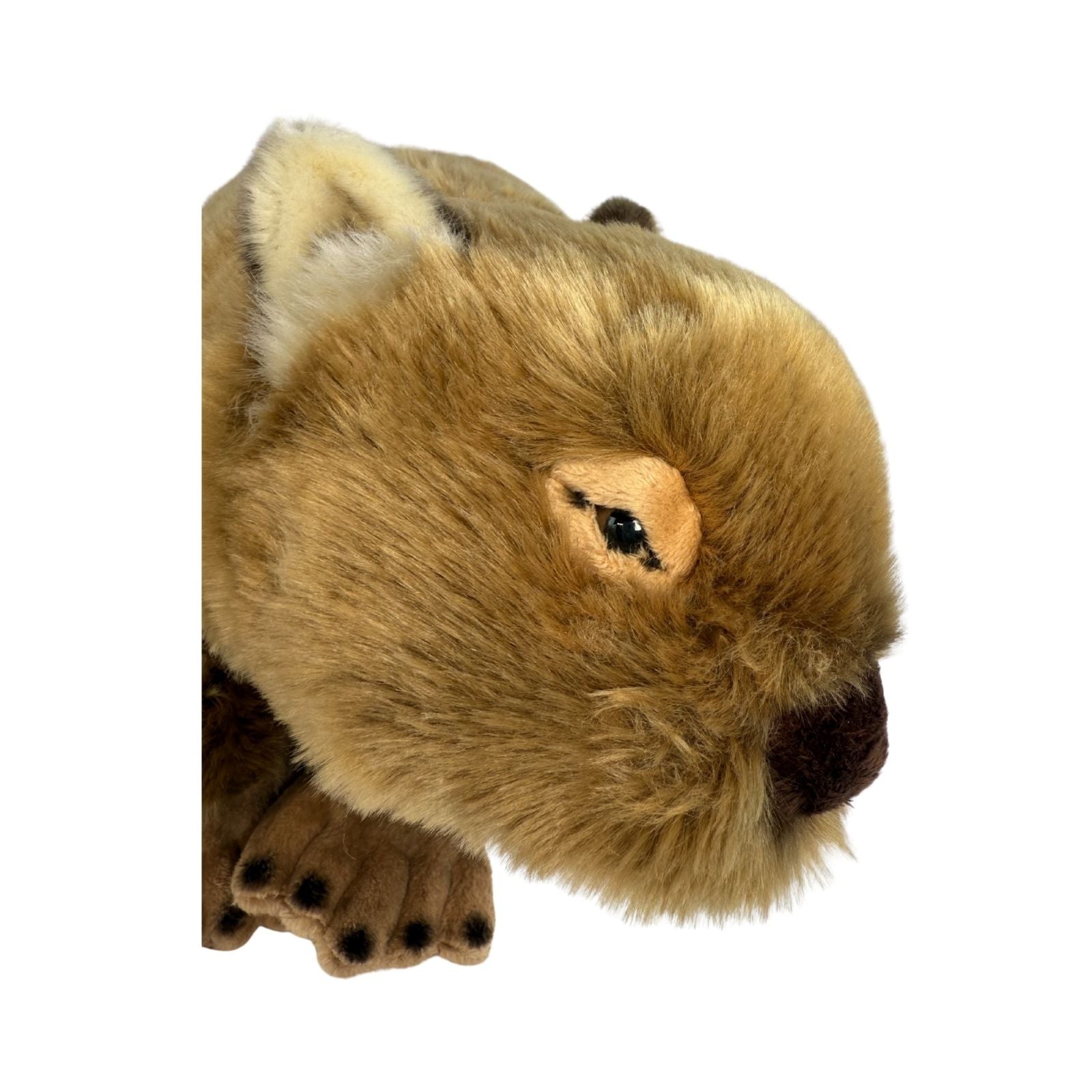Plush toy of a beaver on a white background