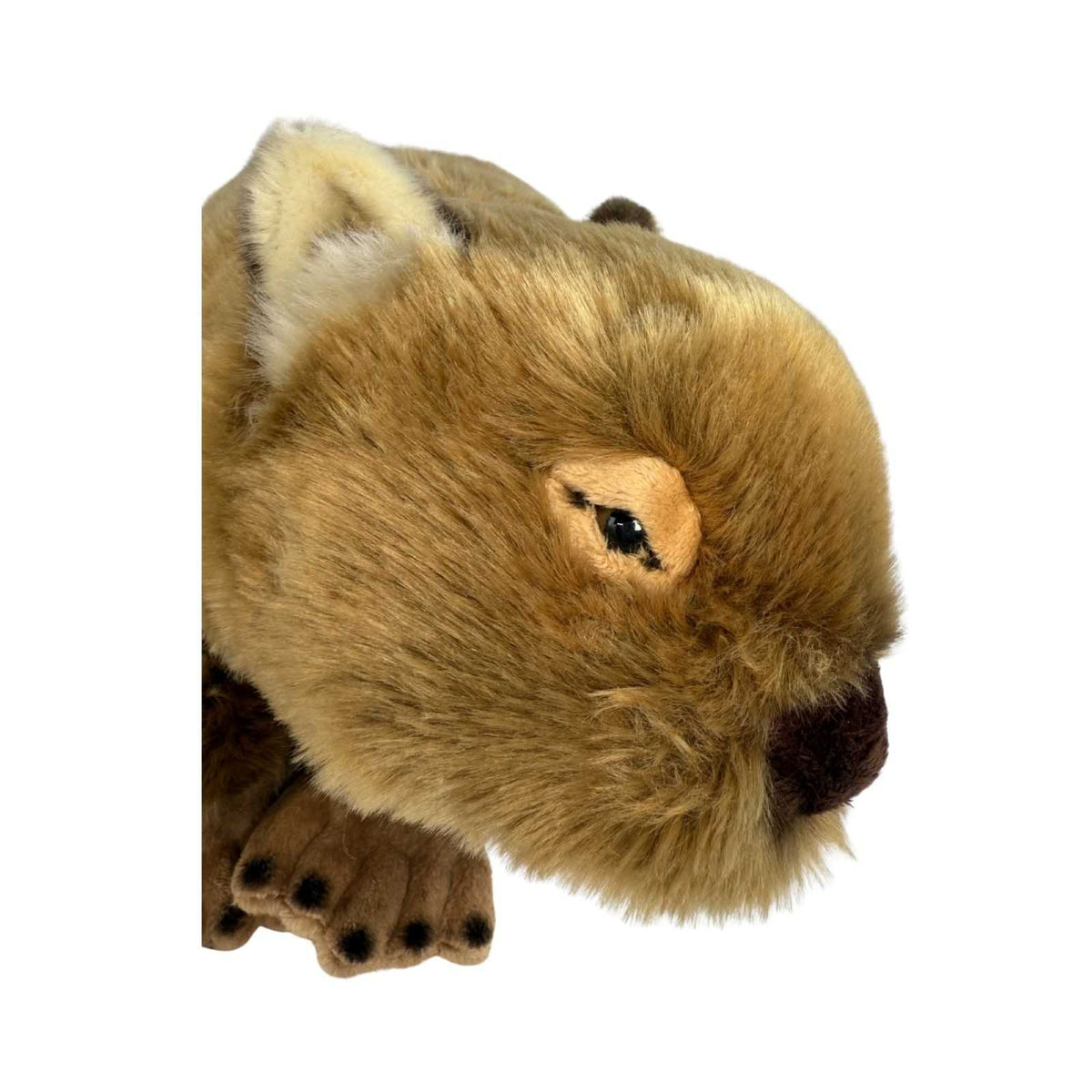 Plush toy of a beaver on a white background
