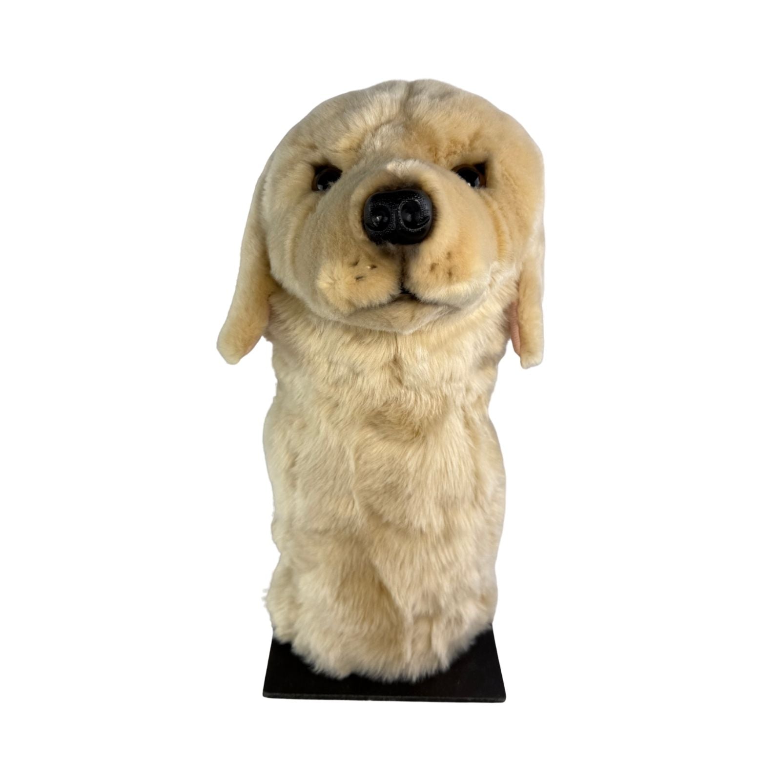 Golden Retriever golf cover