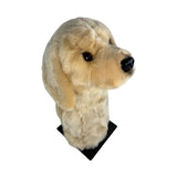 Golden Retriever golf coverdetail view