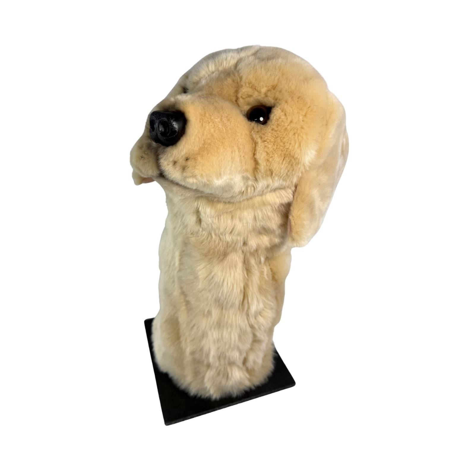 Golden Retriever golf cover