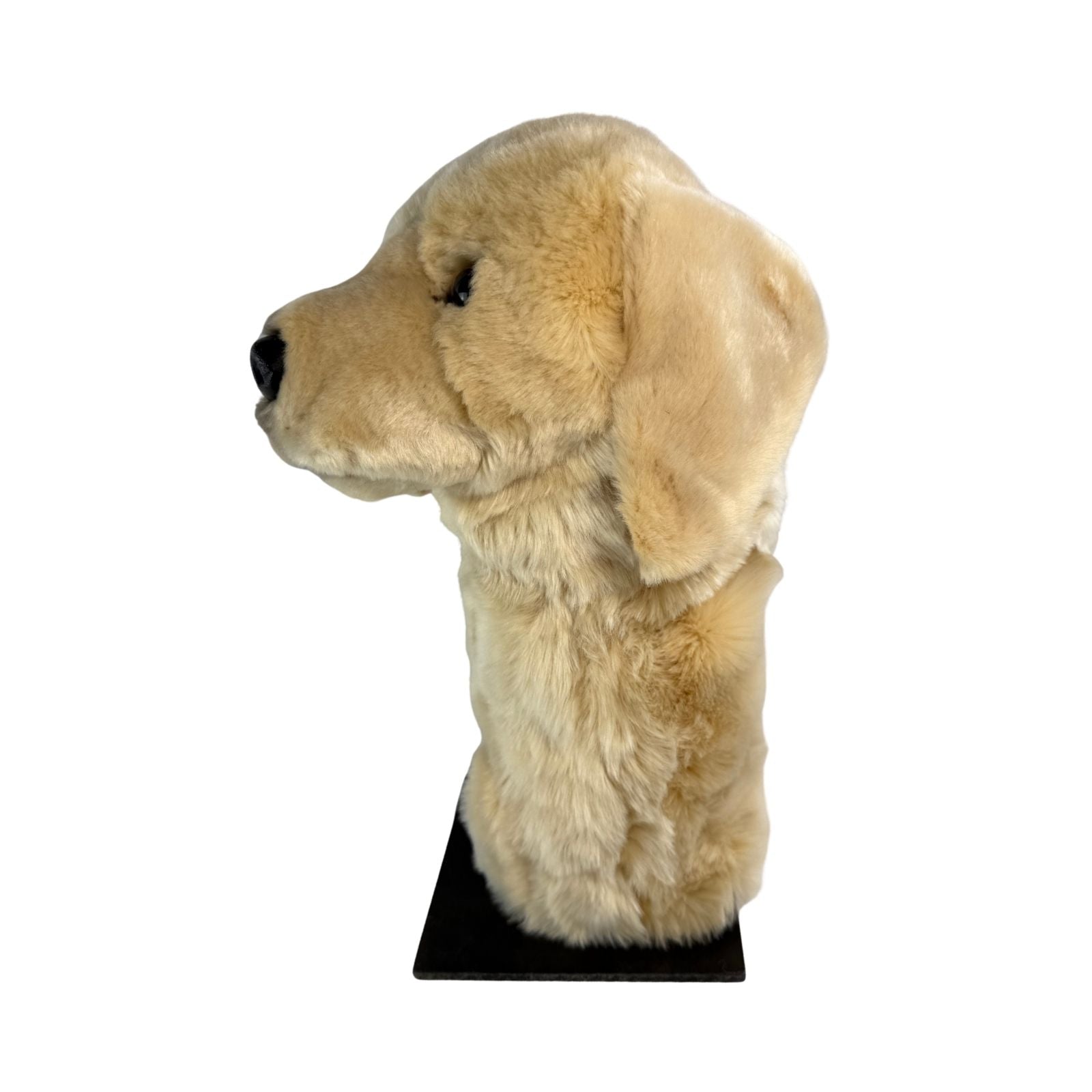 Golden Retriever golf cover side view