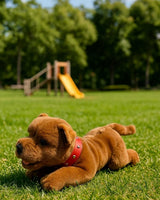 Lying Gravy brown Staffy plush toy outdoors