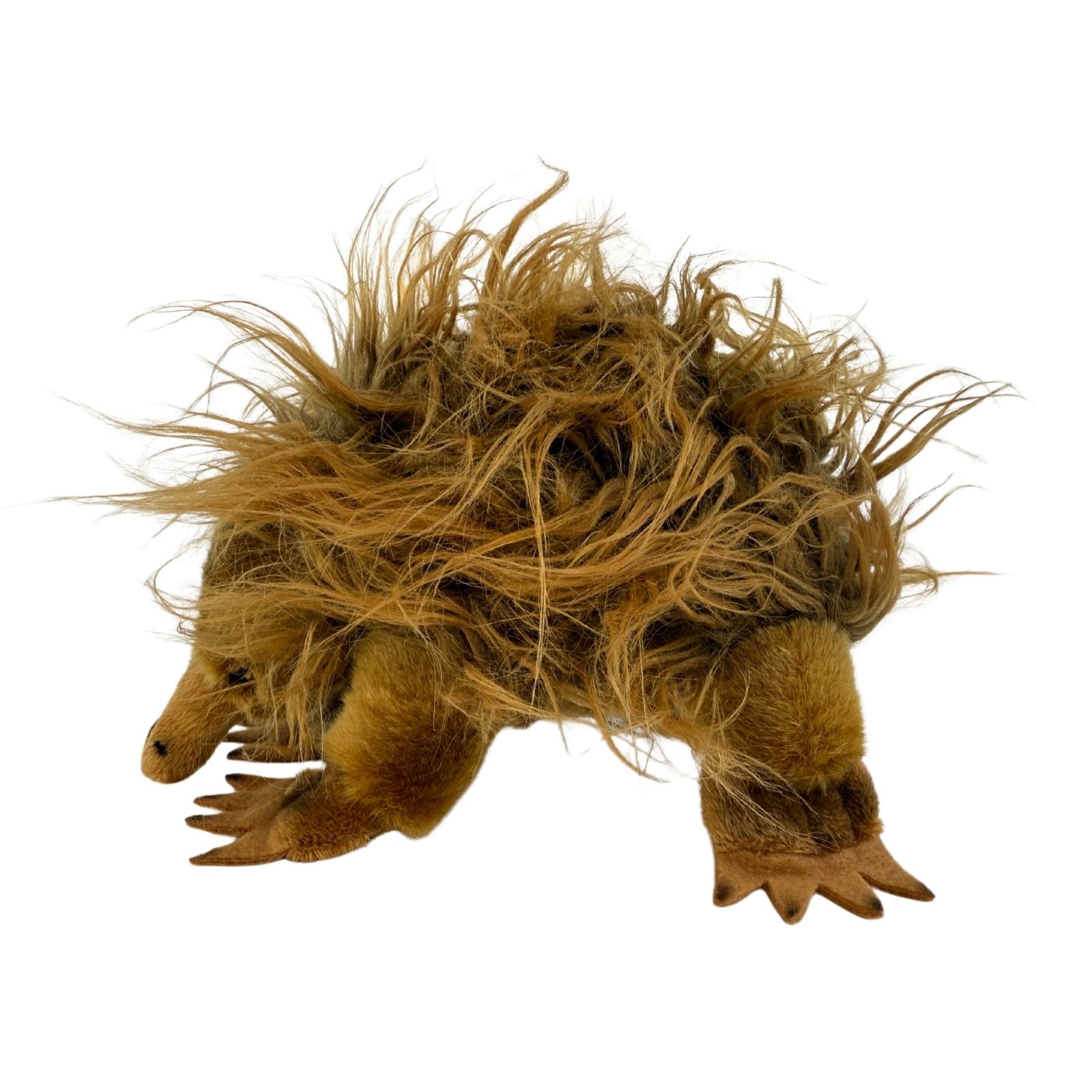 short-beaked echidna plush toy