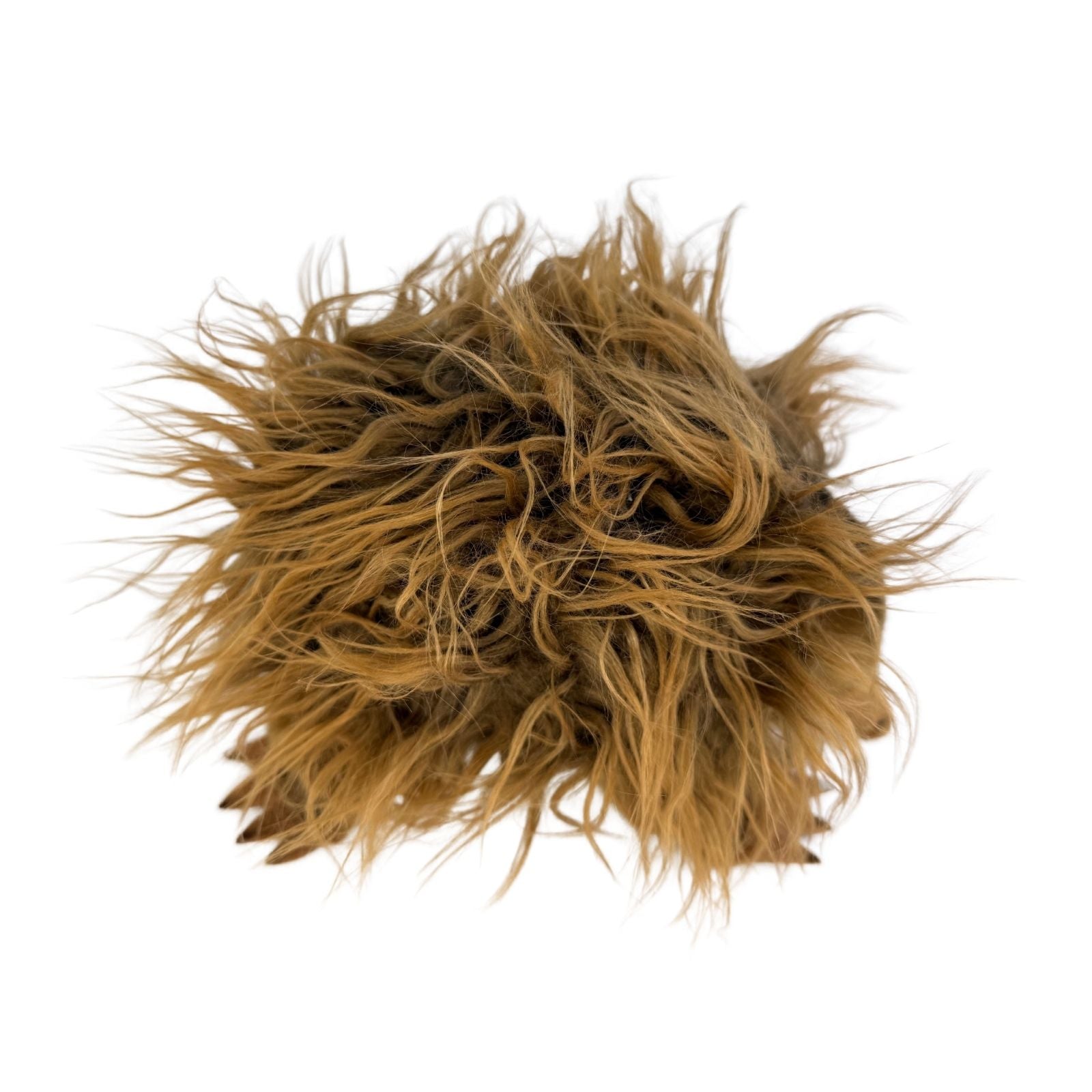 short-beaked echidna plush toy
