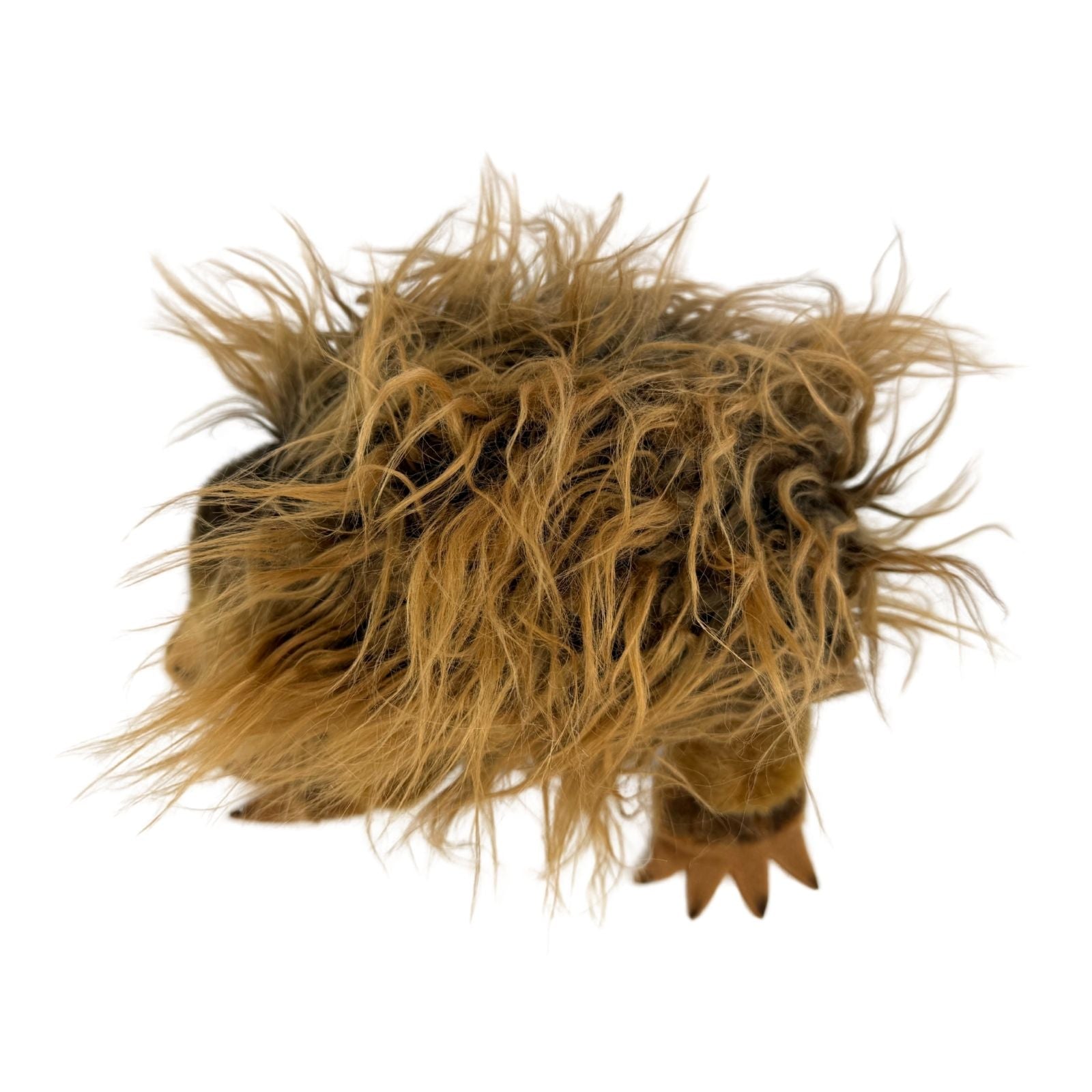 short-beaked echidna plush toy
