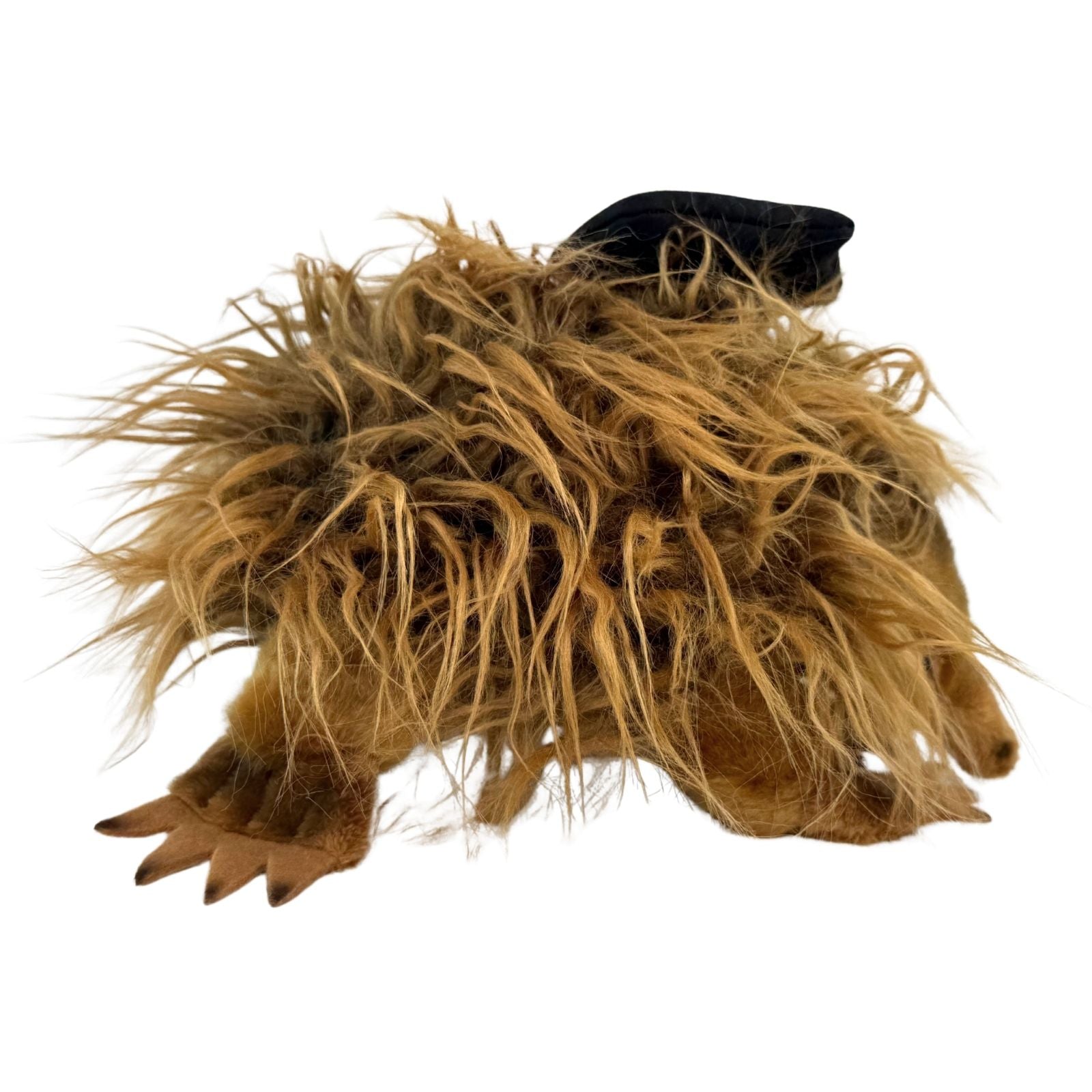 Harry echidna graduation plush back view
