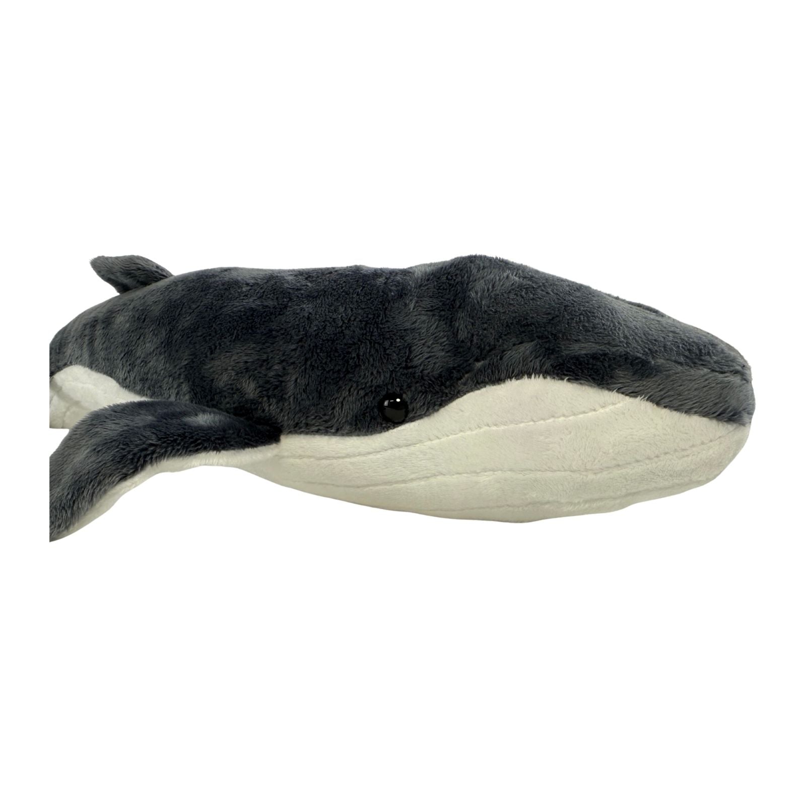 Humphrey humpback whale plush underside view