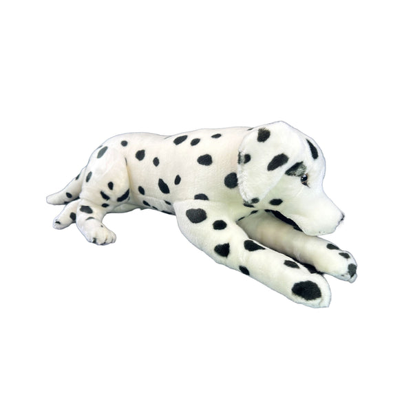 Denzel - Dalmatian - 62cm lying