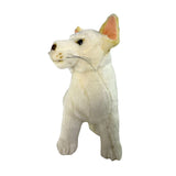 White dingo figurine on a white background