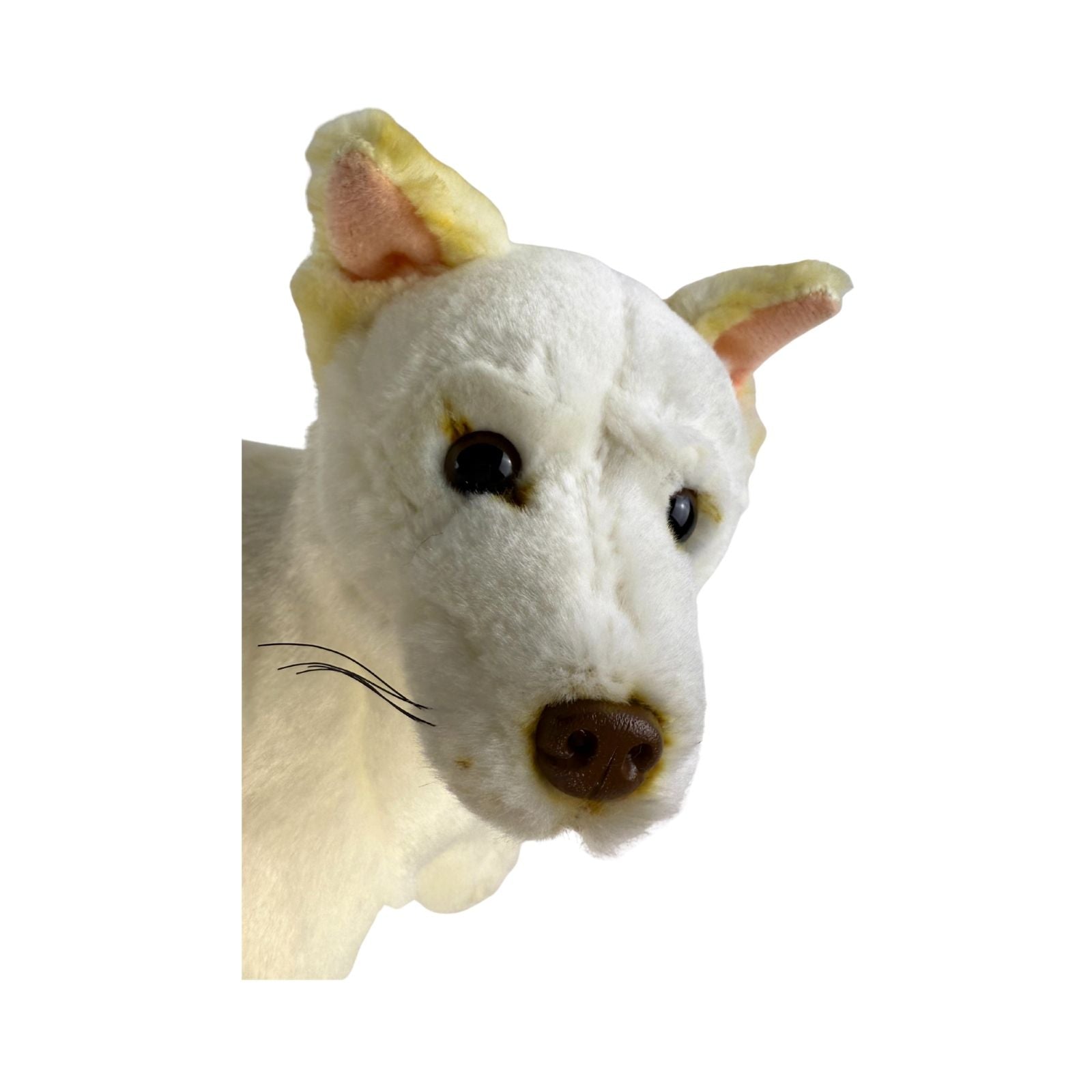 White stuffed animal head with brown nose and black eyes on a white background