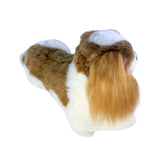 Lying Izzy Cavalier King Charles Spaniel