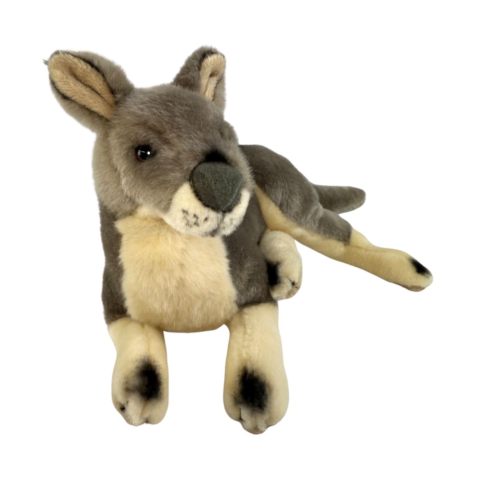Plush toy kangaroo on a white background