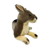 Plush kangaroo toy on a white background