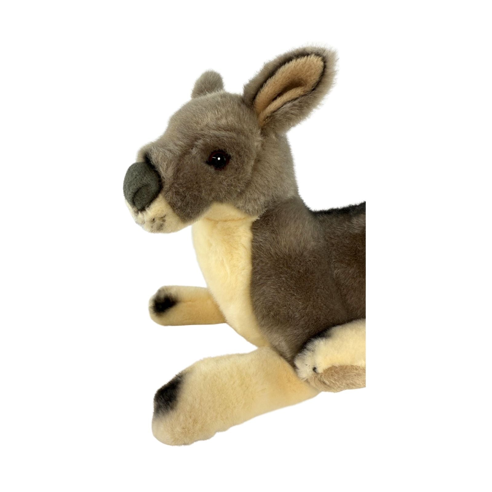 Plush donkey toy on a white background