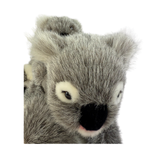 Close-up of a plush toy koala with a white background