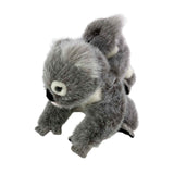 Plush toy koala on a white background