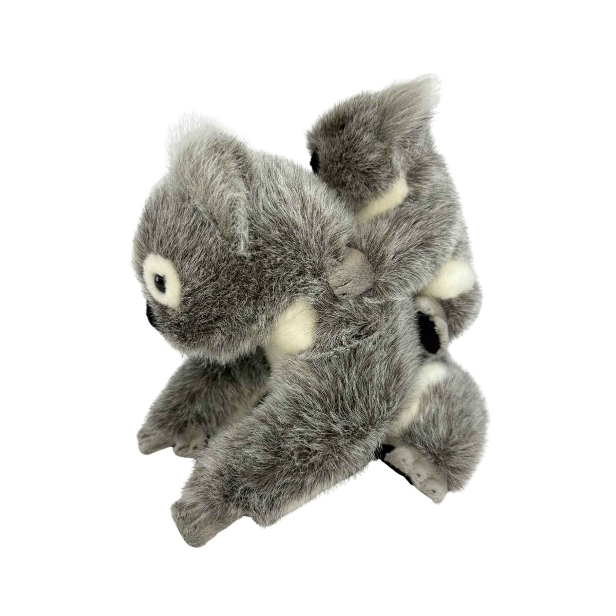 Plush toy koala on a white background