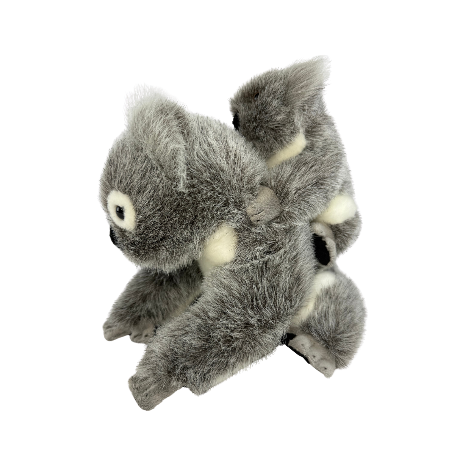 Plush toy koala on a white background