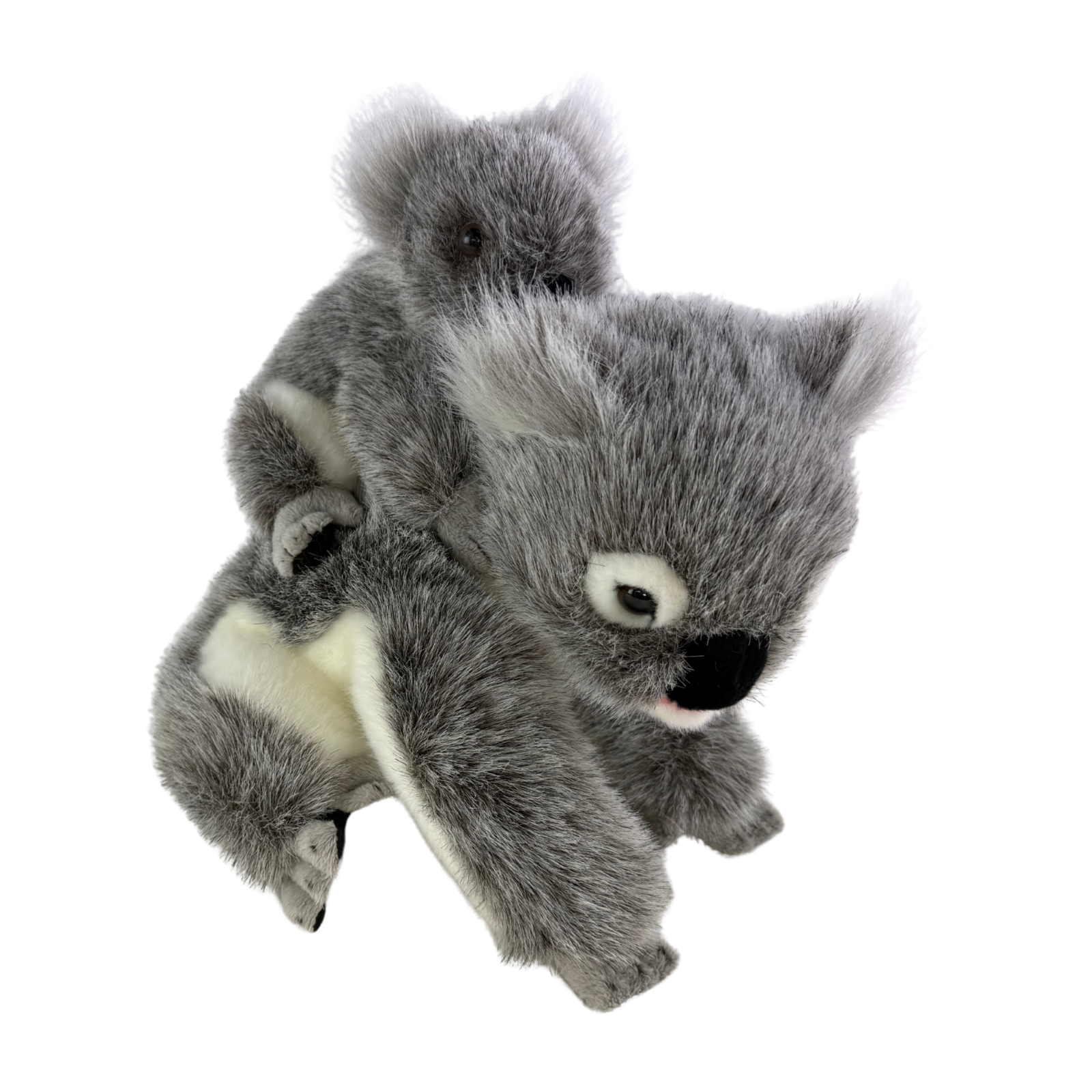 Plush toy koala on a white background