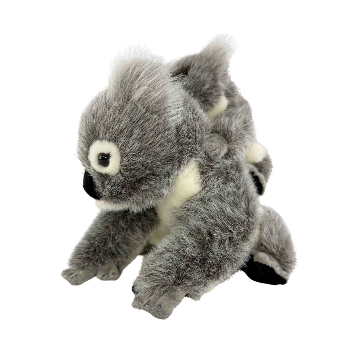 Plush toy koala on a white background