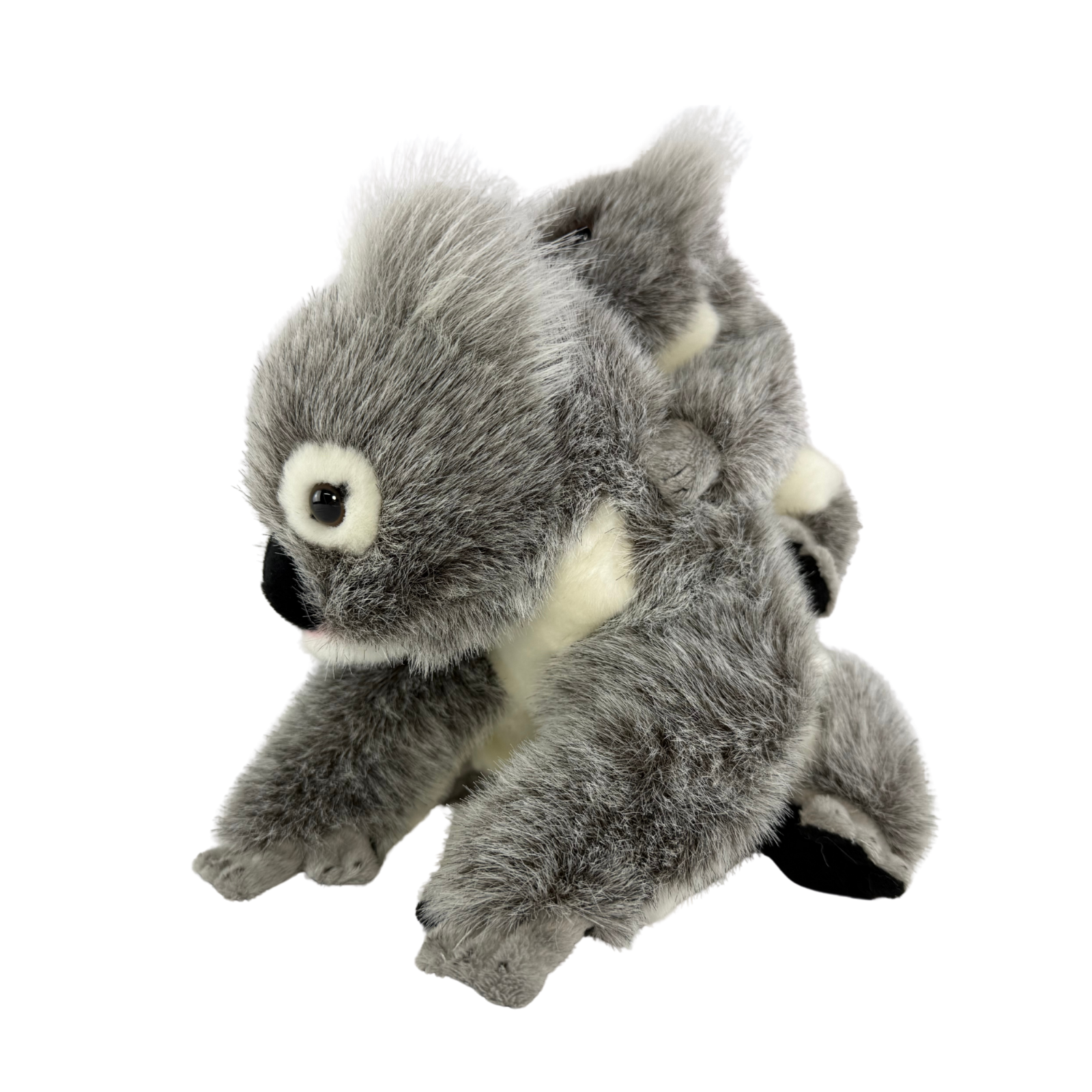 Plush toy koala on a white background