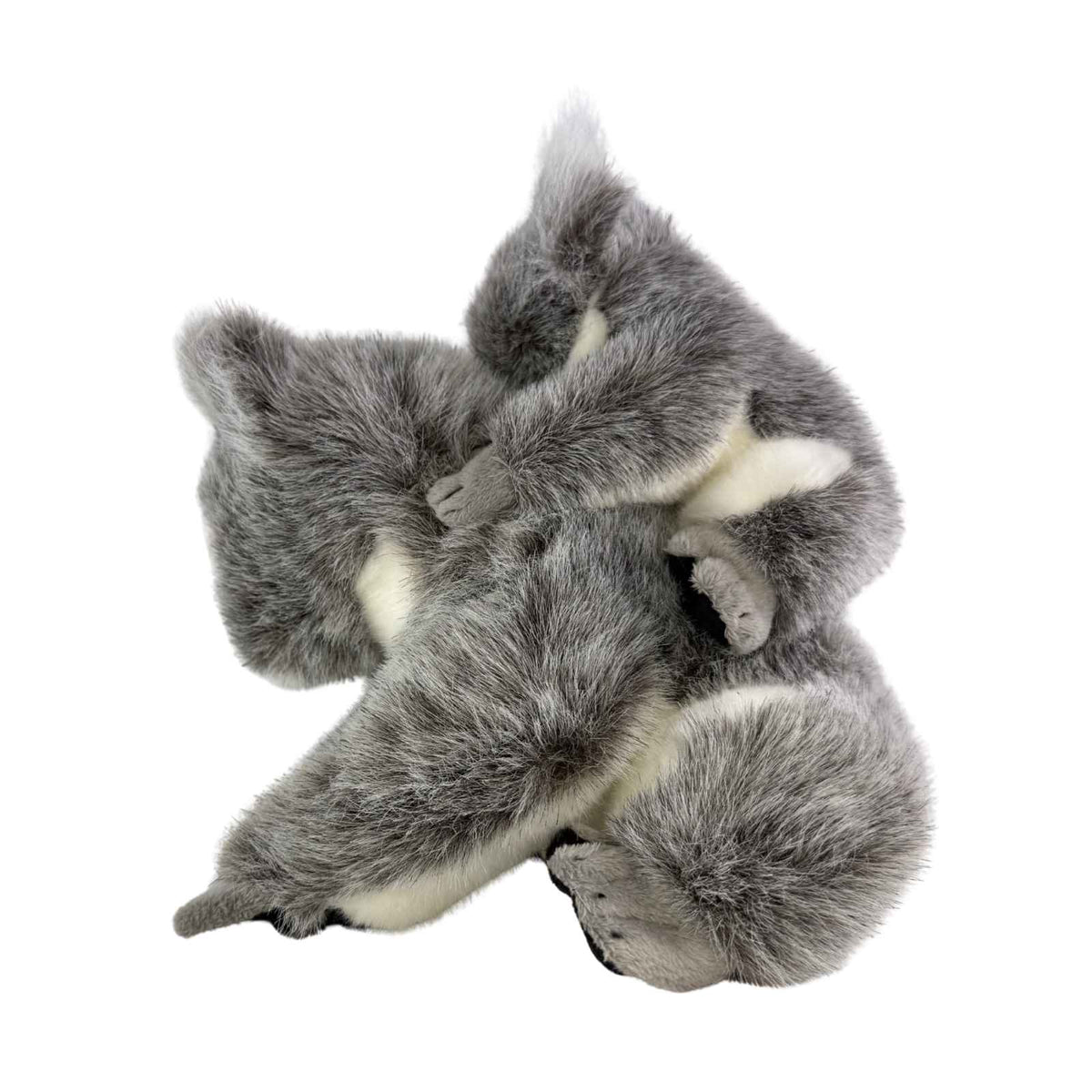 Plush toy koala on a white background