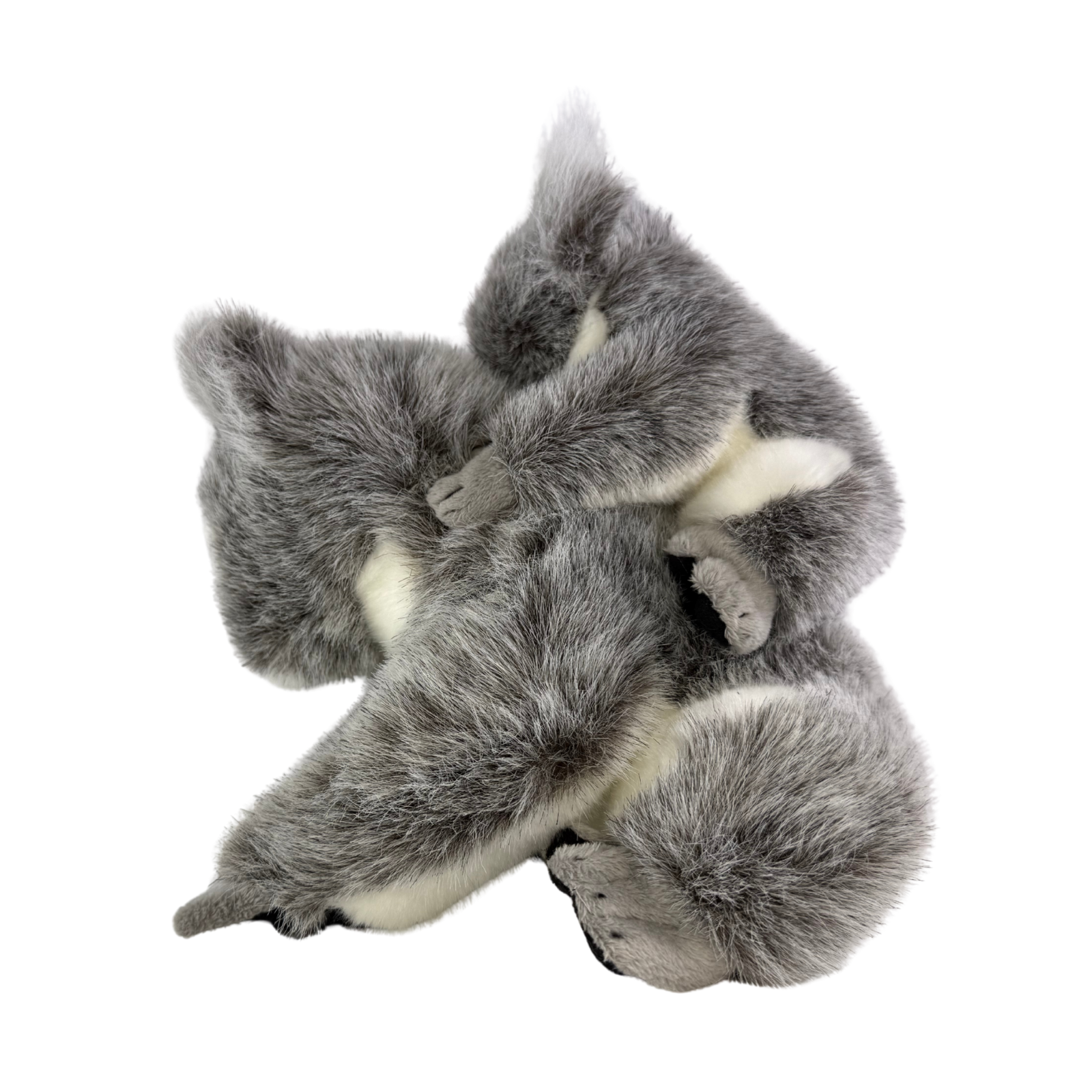 Plush toy moose on a white background